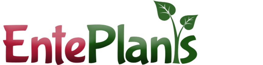 Enteplants.com