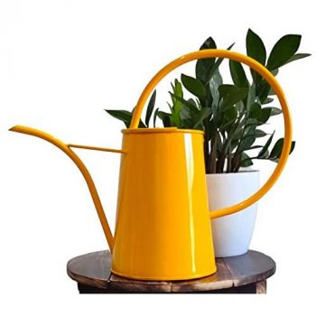 Metal Watering Can online